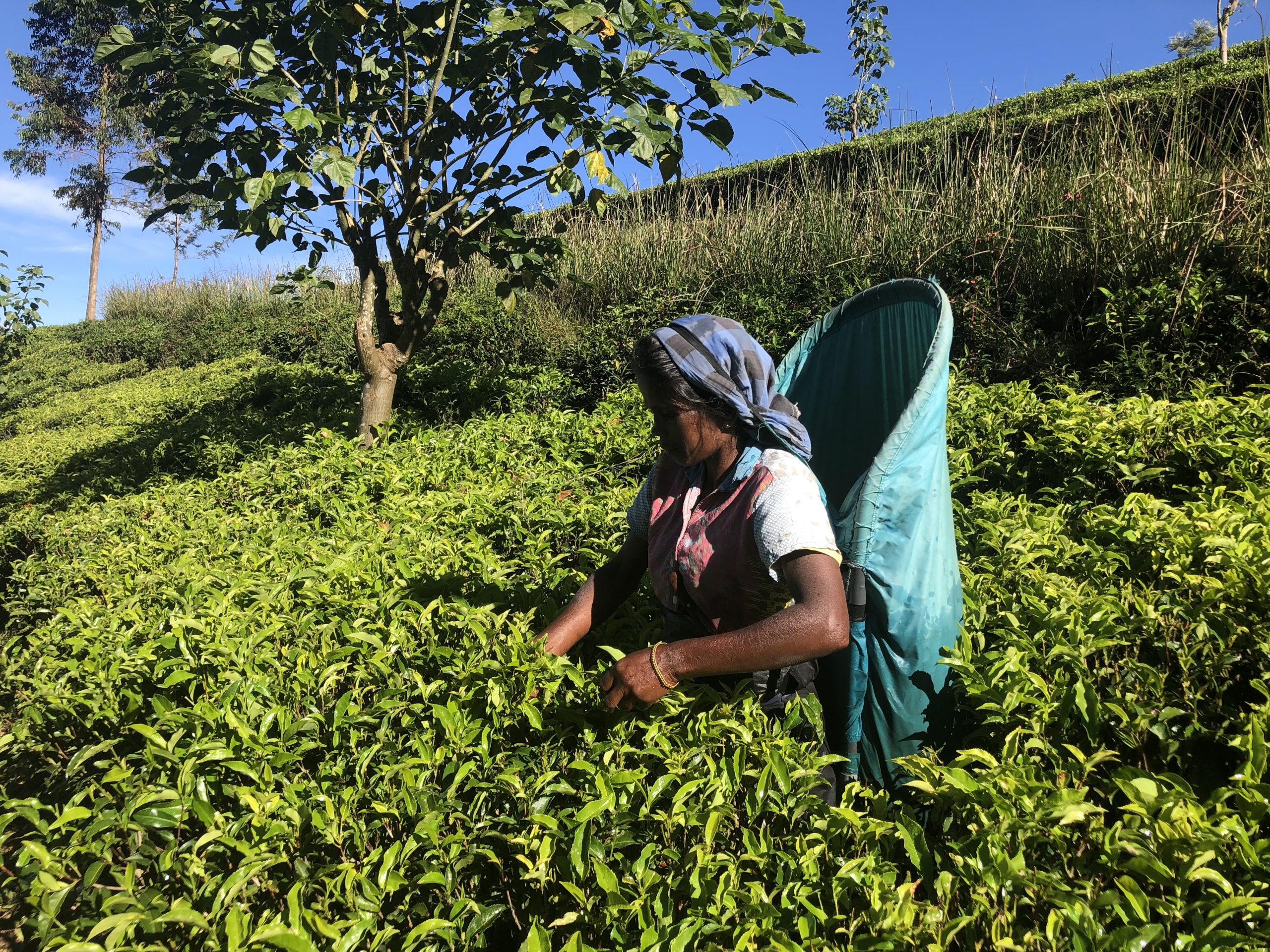 Sri Lanka Health Improvement | ADRA-UK